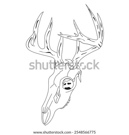 Deer skull vector illustrations in white background