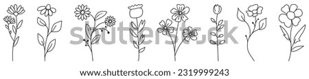 Set of hand drawn wild flower icons. Collection of hand drawn line botanical elements. Vector illustration
