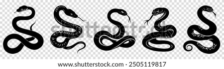 Set of snakes silhouette. Vector illustration isolated on transparent background
