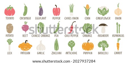 Set of caption vegetable icons isolated on white background. Bright and juicy hand drawn sticker pack. Big vector flat collection