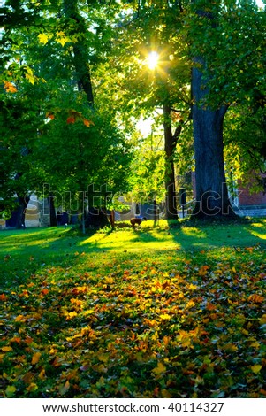 As the sun sets, shadows are cast by beautiful fall trees in a park