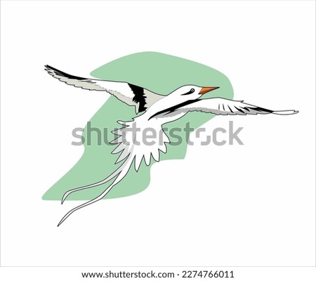 The white-tailed sate (Phaethon lepturus) is a species of bird in the Phaethontidae family. These birds are distributed in the Atlantic Ocean, Indonesian Ocean, and the tropical and subtropical Pacifi