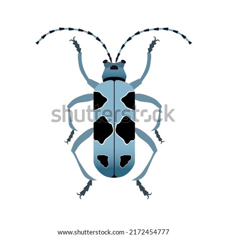 Colorful Alpine longhorn beetle Icon in flat design.