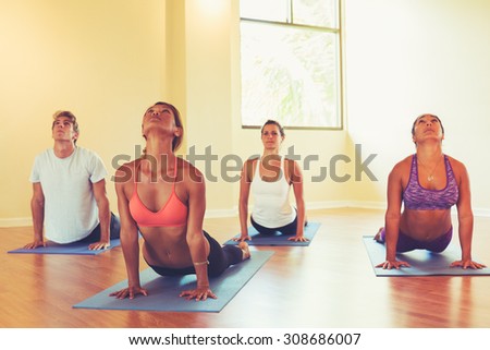 Group of People Relaxing and Doing Yoga. Practicing Cobra Pose. Wellness and Healthy Lifestyle.