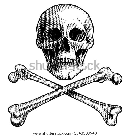 Skull with crossed bones. Pirate symbol Jolly Roger sketch engraving vector illustration. Scratch board style imitation. Hand drawn image