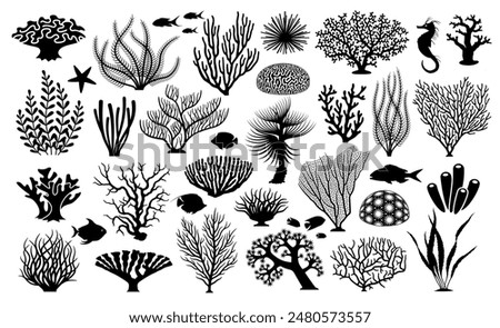 Coral Ocean Silhouette, Cut File, cutting files, printable design, Clipart