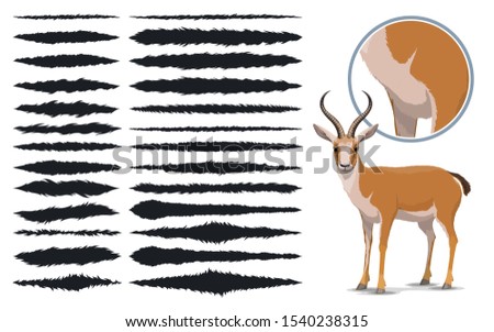 Animal fur brush strokes, design elements texture set. Vector templates of thin and thick fur texture paint brush strokes with rough edges pattern, design presets