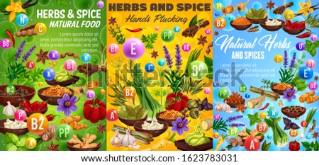 Herbs and spices, vitamin A, B, C, capsules and seasonings. Vector vegetables and condiments, thyme and basil, ginger and min, vanilla and lavender, anise star and rosemary, pepper and cinnamon Imagine de stoc © 