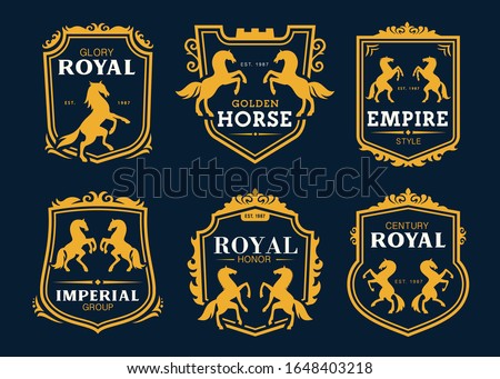 Heraldic horses and Pegasus vector icons for business company and company identity signs. Golden horse heraldry symbols in imperial ornate shield frames, rearing horses and castle crests
