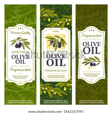 Olive oil bottle package labels, organic extra virgin olives. Vector Spanish, Greek and Italian premium quality natural olive oil banners with stars, drops and green leaves