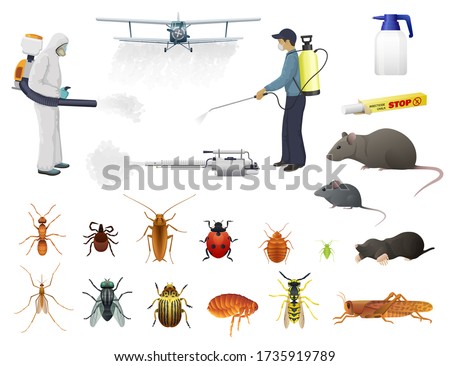 Disinfection, pest control, vector men in protective suits and airplane spraying pesticides against insects. Isolated bug, flea and cockroach, ant, tick and wasp extermination. Cold fogger with smoke