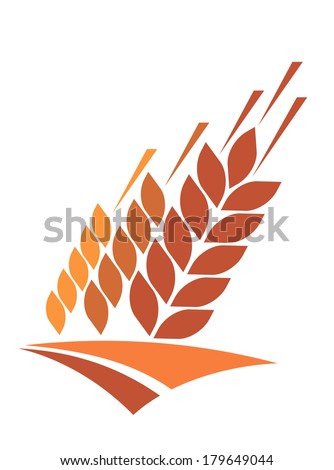 Agriculture icon with a field of golden ripe ears of wheat logo providing a staple dietary grain and animal feed, vector illustration isolated on white