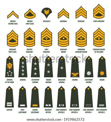 US army enlisted ranks chevrons and insignia. America military service soldiers, officers and command shoulder marks. Private, sergeant and general, captain, lieutenant and major rank slides vector