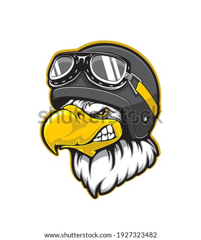 Pilot eagle bird vector mascot with cartoon head of bald eagle, falcon or hawk wearing aviator helmet and goggles. Sport team or flying club mascot for t-shirt print design