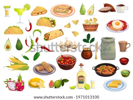 Mexican cuisine vector food and drink cartoon set. Taco, burrito, tomato salsa and avocado guacamole, corn nachos, tequila, margarita and mate, quesadilla, chili pepper, tamale, fajitas and cocoa