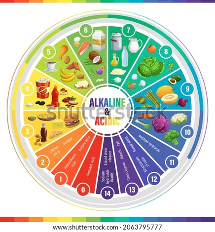 Round PH scale indicators chart, acids balance measure meter, vector chemistry science. PH alkaline and acidic indicators scale, chemical solution base values in water and food, vegetables and fruits