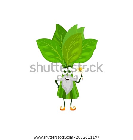 Cartoon green spinach wizard character or magician vegetable with magic wand. Vector cartoon personage of fairy tale sorcerer or spinach conjurer with golden magic wand