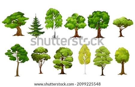 Cartoon isolated vector trees. Forest and garden green trees. Coniferous and deciduous plants, oak, birch and spruce or pine isolated landscape objects. Spring, summer foliage Stock foto © 