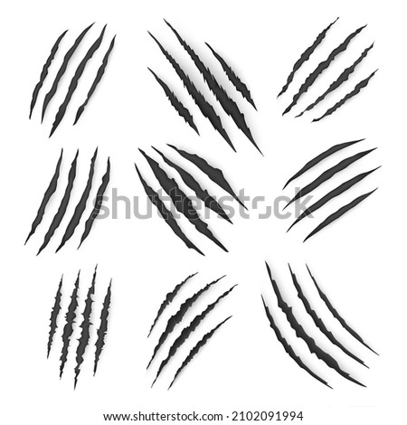 Dragon, bear or tiger claw marks and torn scratches, vector. Cracks form animal claw scratches, wild beast paw marks with sharp fissures texture, damaged breaks and hollow scraps, black on white Stock foto © 