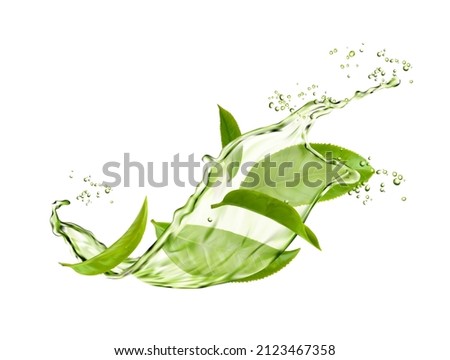 Herbal drink wave splash with green tea leaves and water flow. Vector organic beverage 3d advertising with realistic green leaves in aqua and splatters. Fresh plant, natural aroma tea splash