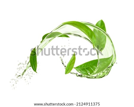 Herbal tea round swirl splash with green leaves and water flow. Vector organic drink with splatters. 3d ad with realistic foliage fall in aqua. Fresh plant, natural aroma beverage