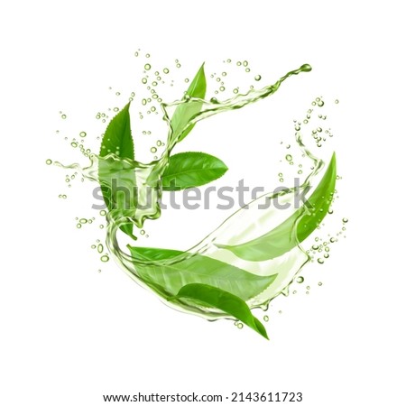 Green water wave splash with tea leaves. Realistic vector herbal tea drink flow or matcha swirl with ripple texture, falling drops and droplets, cold green tea beverage flavored with fresh mint leaves
