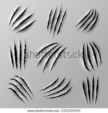 Bear and tiger claw marks and scratches from beast animal paw nails, realistic vector. Wild cat or lion and bear claw slashes, monster beast or werewolf attack scratches and shred traces