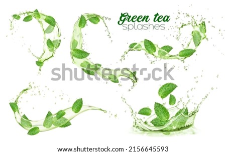 Green mint leaves with water splashes, herbal mint drink flow. Menthol, peppermint, match tea foliage waves. Vector organic beverage. 3d advertising with realistic leaves in aqua splatters