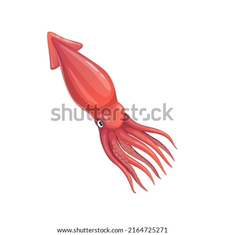 Cartoon squid vector calamari mollusk, underwater animal. Sea creature, invertebrate marine fauna inhabitant with pink skin and tentacles, isolated water life