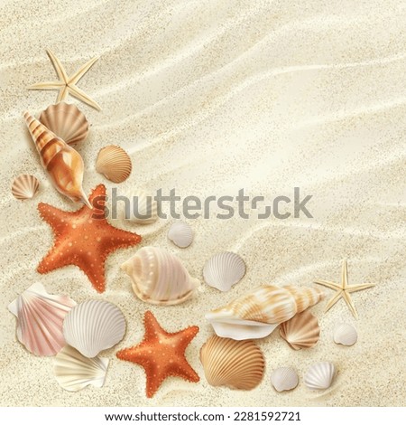 Realistic beach seaside top view. Seashells and starfish on sand. Vector summer background with sea conches and sandy waves view from above. Tropical ocean shore texture for vacation, holidays leisure