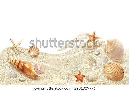 Realistic beach seaside top view. isolated vector seashells and starfish on sand summer objects. Sea conches and sandy waves view from above. Tropical ocean shore texture for vacation, holiday leisure