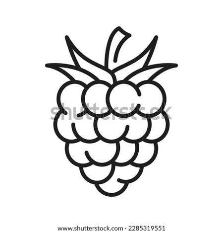 Black dewberry, mulberry isolated bramble fruit thin line icon. Vector outline juicy blackberry, healthy food eating. Sweet ripe organic summer berry
