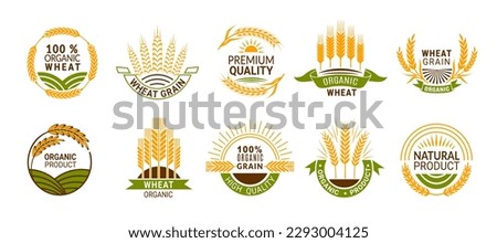 Wheat ears icons, cereal spikes of rye, barley or rice millet, vector organic product labels. Wheat grain food signs of premium quality bread or flour and bakery, organic wheat laurels