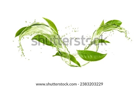 Green tea leaves, water wave splash and drops. Aromatic beverage swirl drip, breakfast tea or mint leaf drink splash 3d realistic vector splatters frozen motion or isolated jet droplets with leaves