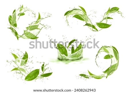 Green tea leaves with wave flow splash and drops. Vector 3d water or matcha drink crown, round and wavy splashes with falling droplets and bubbles. Natural herb beverage for refreshment and health