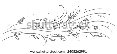 Wind and flying doodle autumn leaves, cartoon vector nature hurricane. Weather storm with wind blow waves and autumn leaves in line art, abstract air flow with oak leaves foliage on windy background