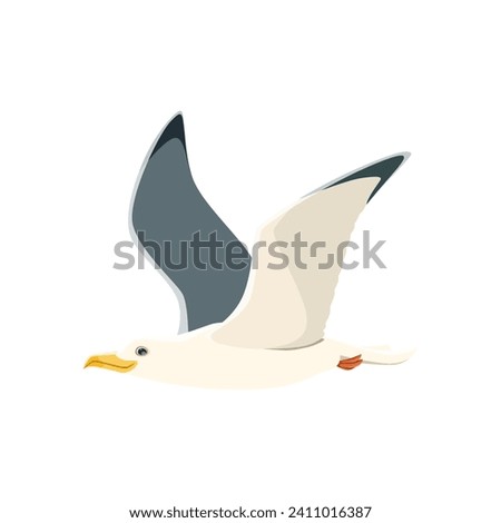 Cartoon seagull, isolated vector graceful and agile bird, soars in the air, its wings catching the wind. With sharp eyes and a distinctive call, it embodies the spirit of coastal freedom
