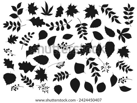 Leaves and berries vector black silhouettes. Maple, rowan and chestnut, oak, elm and ash and birch tree branches. Autumnal monochrome foliage and berries elements set isolated on white background