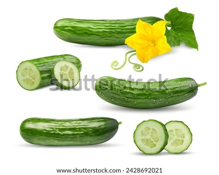 Realistic cucumber raw whole vegetable in slices, rings and half cut for veggie food, isolated vector 3D. Fresh green cucumber with plant flower, whole or cut in ring slices for vegetarian food