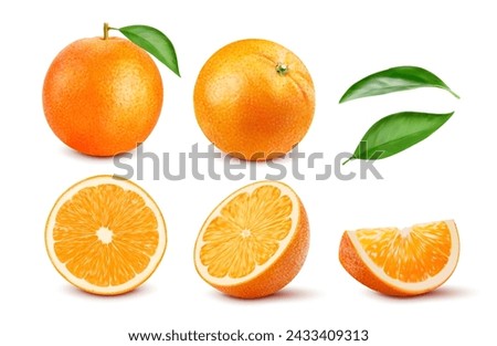 realistic ripe orange whole citrus fruit, slice and half section, revealing its fresh, succulent interior. Isolated 3d vector set of plump and juicy fruit parts, with tangy flavor and citrusy aroma