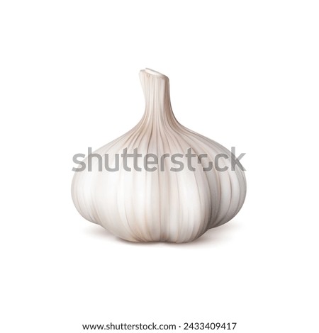 Ripe raw realistic garlic seasoning vegetable. Whole isolated garlic head. 3d vector aromatic bulb with papery skin revealing plump cloves, ready to elevate any culinary dish with robust flavor