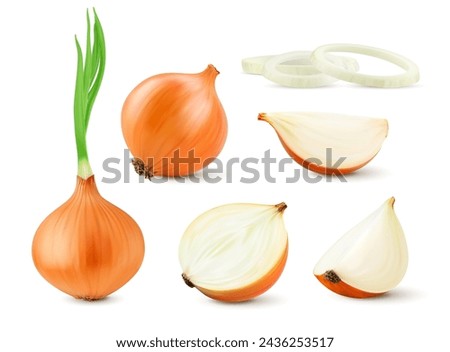 Realistic raw onion whole vegetable in slices, rings and half cut, isolated vector 3D food. Fresh onion bulb with green sprout shoots, cut in section lobule or ring slices for food product package