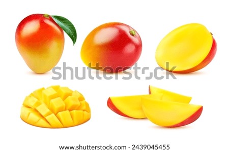 Raw tropical realistic mango fruit. Whole and half, slice and diced mango with green leaf, vector fruity food. Isolated 3d ripe juicy pieces of exotic tree fruit with orange flesh, red and yellow peel