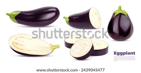 Raw realistic eggplant vegetable. Whole and half, slice and ring ripe isolated veggie food. Vector 3d eggplant or aubergine tropical vegetable with green stem, glossy purple peel, white flesh, seeds