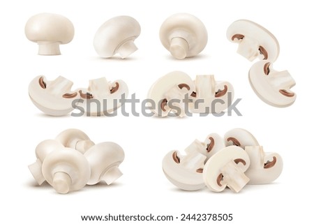 Raw realistic champignon mushroom. Whole and half isolated vegetable food with shadows. Vector 3d piles of ripe white mushroom slices. Fresh porcini or cremini fungi, vegetarian cooking ingredient