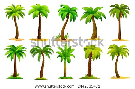 Cartoon jungle palm trees, coconut and banana tropical plants set. Isolated vector palms with tall and slender trunks, swaying in the breeze green fronds. Exotic paradise vegetation, game elements