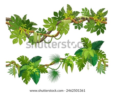 Tropical jungle forest liana branch. Cartoon vector vines, tree, plant thicket, rainforest climbing and hanging roots, leaves, green foliage spinney. Amazon or african flora, tropic nature, game asset