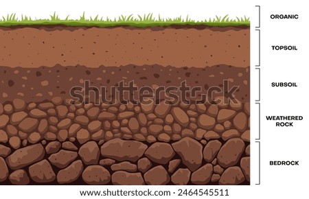 Soil layer infographic, earth geology formation. Bedrock, weathered rock, subsoil, topsoil and organic layer cross section ground and underground surface. Vector infographics chart cartoon design