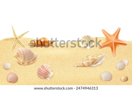 Realistic seaside beach sand top view, seashells and starfish on sandy shore. Vector summer frame with sea conches view from above. Tropical ocean shoreline texture, border for vacation holiday memory