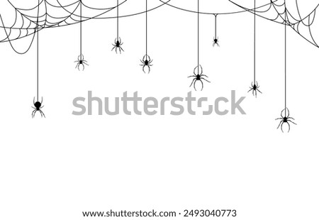 Spiders on cobweb or spiderweb for Halloween holiday and trick or treat party, vector background. Horror night holiday greeting card with creepy spooky spiders hanging on cobweb for banner or poster